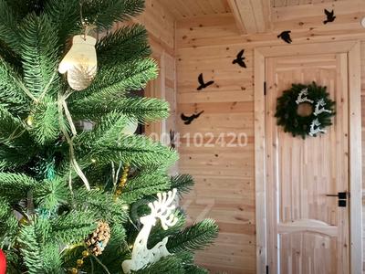 Жеке үй · 3 бөлме · 50 м², LOFT-дом (зимний) — Бухтарма, район горы Мохнатка, бағасы: 35 000 〒 в Новой бухтарме