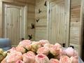 Жеке үй · 3 бөлме · 50 м², LOFT-дом (зимний) — Бухтарма, район горы Мохнатка, бағасы: 40 000 ₸ в Новой бухтарме — фото 33