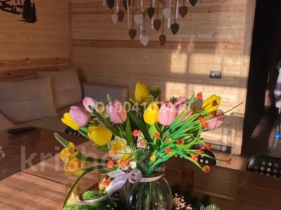 Дом · 3 комнаты · 50 м², LOFT-дом (зимний) — Бухтарма, район горы Мохнатка за 30 000 〒 в Новой бухтарме