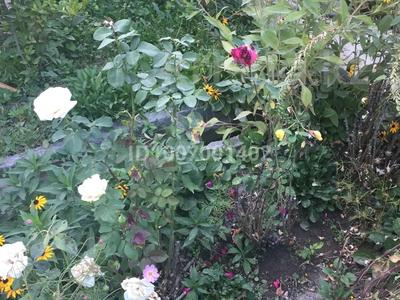 Дача · 3 комнаты · 50 м² · 6 сот., Западная 54 за 18 млн 〒 в Алматы