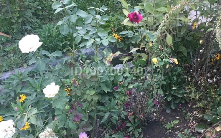 Дача · 3 комнаты · 50 м² · 6 сот., Западная 54 за 15.5 млн 〒 в Алматы — фото 2