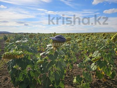 Участок · 4378 га, Куйган 21 — Набережная за ~ 200 млн 〒 в 