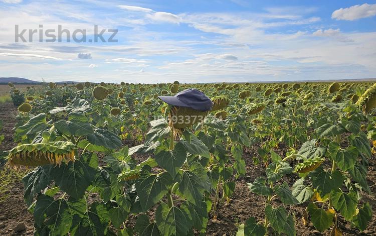 Участок · 4378 га, Куйган 21 — Набережная за ~ 200 млн ₸ в  — фото 29