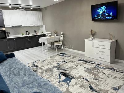 1-комнатная квартира · 56 м² · 3/5 этаж, Байтурсынова 78 — НИШ, ЛОК Бодрость, университет Мырзахметова, рынок, ЦОН. за 12 000 〒 в Кокшетау