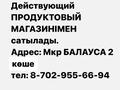 Продуктовый магазин с домом · 144 м² за 50 млн 〒 в Атырау, мкр Балауса — фото 2