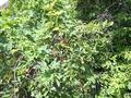 Саяжай · 1 бөлме · 10 м² · 7 жүзд., Актюбжилстрой-1 130 участок, бағасы: 1 млн ₸ в Актобе — фото 5