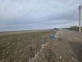 Участок · 10 соток, Автомобилистов 1 — Асипбек Омарова за 4 млн ₸ в Шубарсу — фото 4