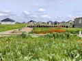 Жер телімі · 5 сотық, Астана, бағасы: 5 млн ₸ в Береке — фото 3