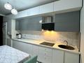 3-комнатная квартира · 88 м² · 8/12 этаж, мкр Кайтпас 1, Байдибек би 116k4 — Напротив парка Байдибек би за 55 млн ₸ в Шымкенте, Каратауский р-н — фото 11