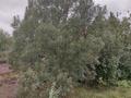 Саяжай · 1 бөлме · 48.2 м² · 8.2 жүзд., Зеленая 53, бағасы: 3.2 млн ₸ в Кокшетау — фото 3