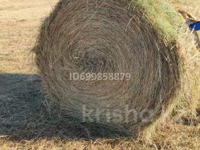 Жер телімі · 60 га, Крдуан, бағасы: 15 млн ₸ в Курмангазы (Ганюшкино)