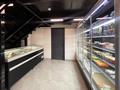 Магазины и бутики · 190 м² за 209 млн ₸ в Астане, Есильский р-н — фото 6