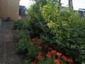 Жеке үй · 4 бөлме · 90 м² · 14 жүзд., Береговая, бағасы: 13 млн ₸ в Щучинске — фото 18
