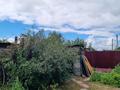 Отдельный дом · 3 комнаты · 60 м² · 6 сот., Омская 38 за 12 млн ₸ в Семее — фото 8