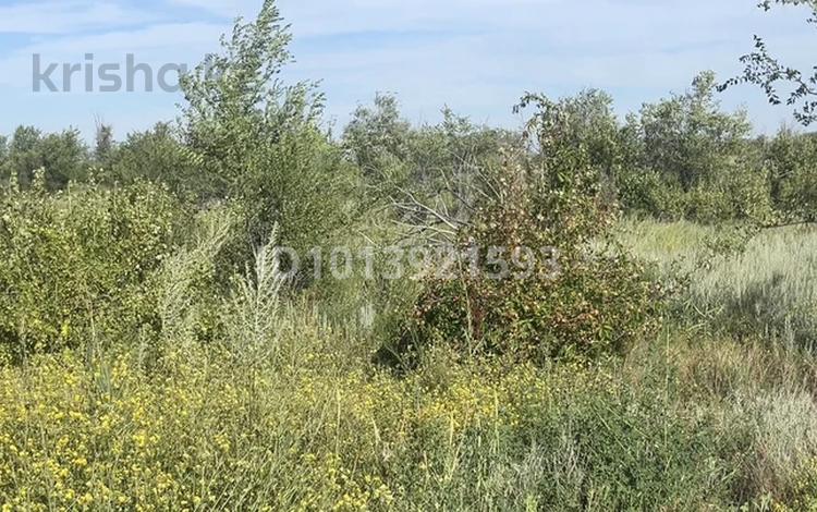 Жер телімі · 10 сотық, Ақтөбе, бағасы: 1 млн ₸ в Актобе — фото 3
