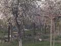 Отдельный дом · 3 комнаты · 120 м² · 27 сот., мкр Курсай, Сарамолды Досмухамбетова 186 — Микс маркет за 25 млн ₸ в Атырау — фото 14