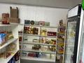 Отдельный дом · 4 комнаты · 220 м² · 8 сот., Кокдала 3 — Мечеть за 65 млн ₸ в Иргели — фото 8