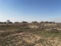Участок · 6 соток, мкр Алатау (ИЯФ) за 7.8 млн ₸ в Алматы, Медеуский р-н — фото 4