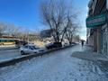 Свободное назначение · 243 м² за 110 млн ₸ в Жезказгане — фото 3