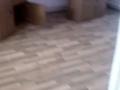 Дача · 3 комнаты · 72.2 м² · 0.6 сот., Илийский р-н,КазЦиковский с.о.,ПКСТ"Нурлы жол Садовод",ул.3 линия участок №34 за 15 млн ₸ в Аскара Токпанова (Казцик) — фото 14