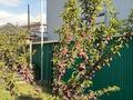 Білім орталықтары · 1300 м², бағасы: 845 млн 〒 в Каскелене — фото 25