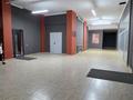 1-комнатная квартира · 53 м² · 18/24 этаж, Абая 10 за 260 000 ₸ в Астане, Сарыарка р-н — фото 23