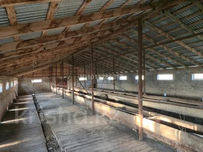 Сельское хозяйство · 250 м² за 200 000 〒 в Талгаре