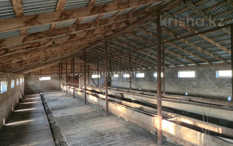 Сельское хозяйство · 250 м² за 200 000 ₸ в Талгаре — фото 4