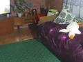 3-бөлмелі пәтер · 80 м² · 1/2 қабат, мкр Кызылжар, бағасы: 20 млн ₸ в Шымкенте, Абайский р-н — фото 24