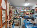 Магазины и бутики · 38 м² за 200 000 ₸ в Алматы, Алмалинский р-н — фото 5