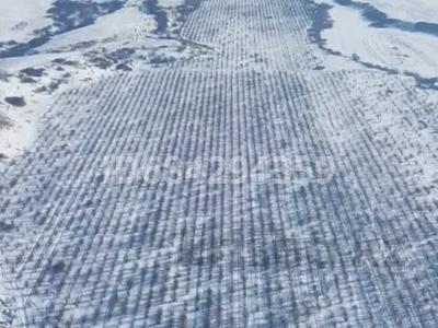 Участок · 1 га, П Береке, СОК Акбулак за 120 млн ₸ в Алматинской обл., Талгарский р-н