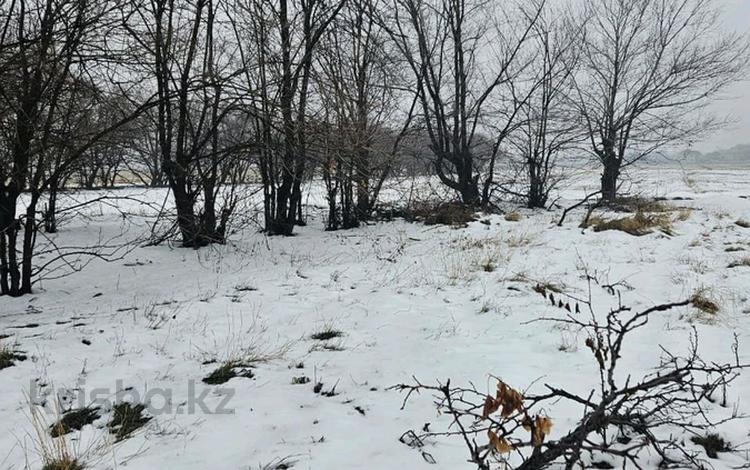 Жер телімі · 12 сотық, Алпамыс Батыр, бағасы: 29 млн ₸ в  — фото 4