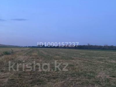 Жер телімі · 1 га, Қарасу ауылы, бағасы: 5 млн ₸ в 