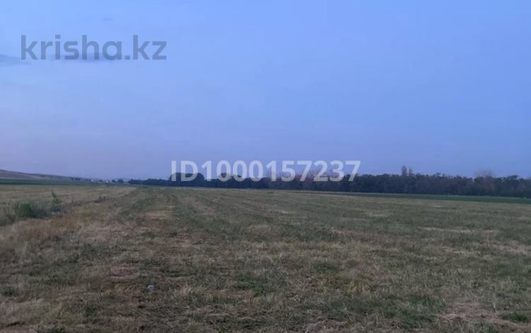 Жер телімі · 1 га, Қарасу ауылы, бағасы: 5 млн ₸ в  — фото 2