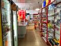 Магазины и бутики · 48 м² за 21.5 млн ₸ в Талдыкоргане, мкр Мушелтой — фото 8