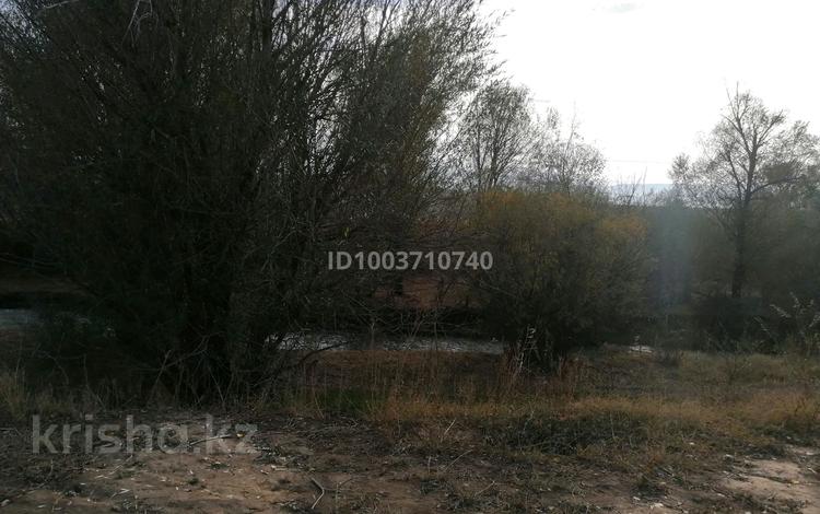 Участок · 3 га, Кафе сагыныш артымен жаны за 20 млн 〒 в им. Турара рыскуловой — фото 2