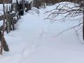 Участок · 50 соток, Гоголя 3 — Гоголя за 55 млн ₸ в Риддере — фото 3