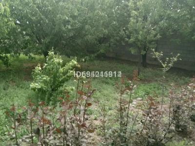 Участок · 4 сотки, мкр Ынтымак , Мкр. Кызылжар Бесбулак 10 за 9 млн 〒 в Шымкенте, Абайский р-н