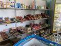 Магазины и бутики · 40 м² за 130 000 ₸ в Шымкенте, Абайский р-н — фото 4