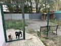 Отдельный дом · 5 комнат · 124 м² · 6 сот., мкр Алтын Бесик — улица Анет Баба за 77 млн ₸ в Алматы, Ауэзовский р-н — фото 6