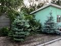 Отдельный дом · 5 комнат · 110 м² · 10 сот., Ыклас Дукенулы — Бывшая Почтовая угол бульвар молодежи за 55 млн ₸ в Таразе — фото 9