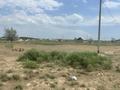 Участок · 8 соток, Жолан толе би 102 — Бәйдібек ықшам ауданы Нұра ауылы за 2 млн ₸ в Нура — фото 2