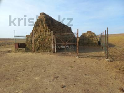 Сельское хозяйство · 100000 м² за 65 млн ₸ в 