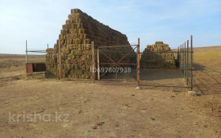 Сельское хозяйство · 100000 м² за 65 млн ₸ в  — фото 2