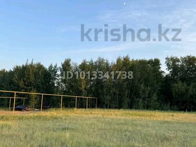 Жер телімі · 1.2 га, Мира, бағасы: 250 млн ₸ в Аккайын