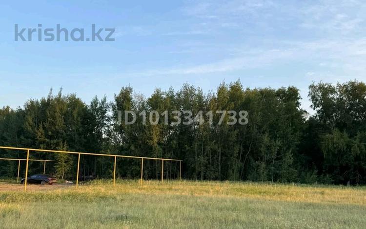 Жер телімі · 1.2 га, Мира, бағасы: 250 млн ₸ в Аккайын — фото 2