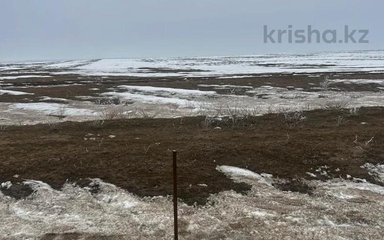 Участок · 100 га, С/о Темиржолский за 18 млн ₸ в Жамбыл (Жамбылский район) — фото 8