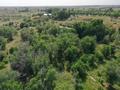 Участок · 13 га, Воинская часть за 100 млн ₸ в Караой — фото 4