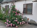 Жеке үй · 3 бөлме · 60 м² · 7 жүзд., Маргулана 37 — Абая-Кунаева, бағасы: 19.5 млн ₸ в Талгаре — фото 17