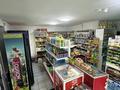 Действующий магазин · 46 м² за 5 млн ₸ в Караганде, Алихана Бокейханова р-н — фото 3